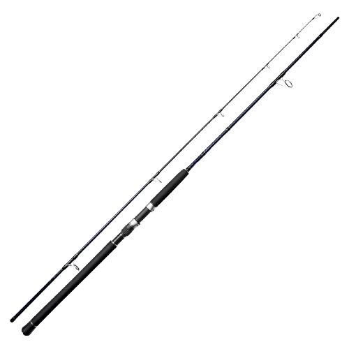 Noeby Gainer Shore Jigging Heavy Game Rod