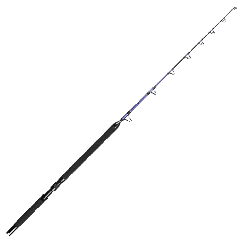 Noeby Stand-Up Big Game Rod