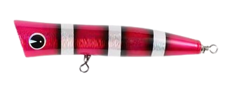 NOEBY Maguro