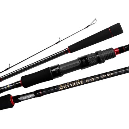Noeby Infinite A6 Seabass