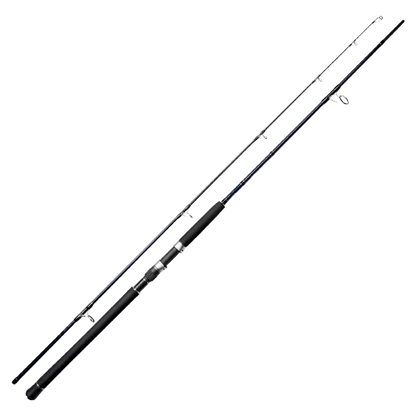 Noeby Gainer Shore Jigging Heavy Game Rod