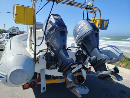 yamaha-60hp-four-stroke-engines_2
.jpg