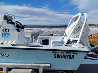 Baystar 14 fishing boat with Suzuki 60HP outboard 2
