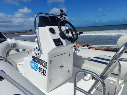 Infanta 5.2 standing console with Garmin fish finder